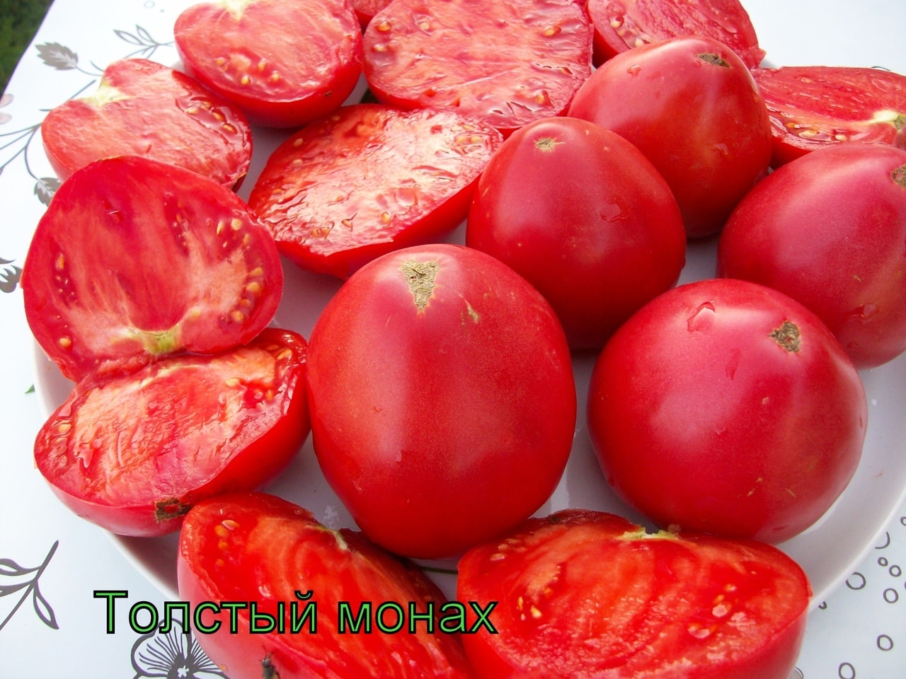 Семена томатов монах